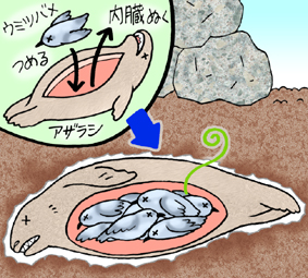 Figure and deployment diagram